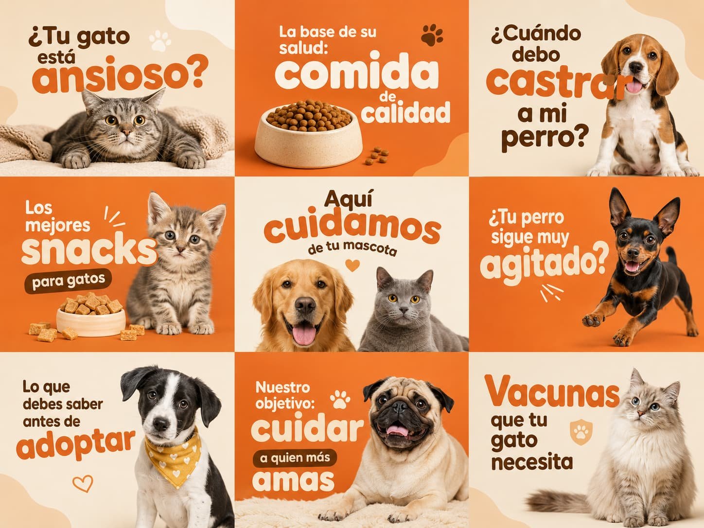 Social media content design for a pet care and veterinary brand